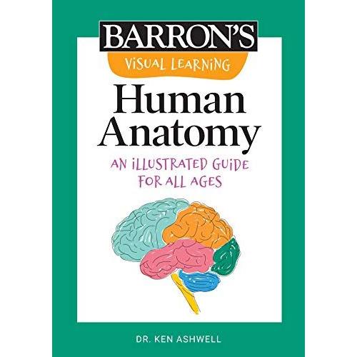 Visual Learning: Human Anatomy
