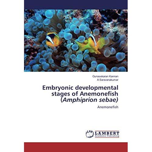 Embryonic Developmental Stages Of Anemonefish (Amphiprion Sebae): Anemonefish