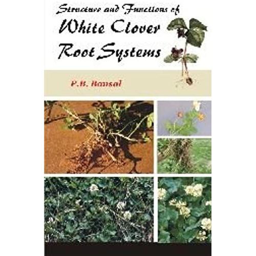 Structure And Functions Of White Clover Root Systems