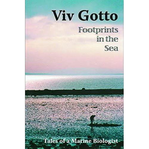 Viv Gotto: Footprints In The Sea