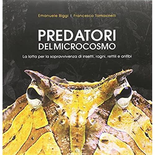 Predatori Del Microcosmo. La Lotta Per La Sopravvivenza Di Insetti, Ragni, Rettili E Anfibi