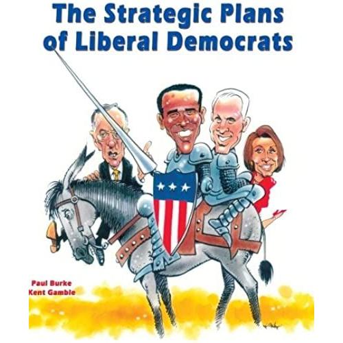 The Strategic Plans Of Liberal Democrats