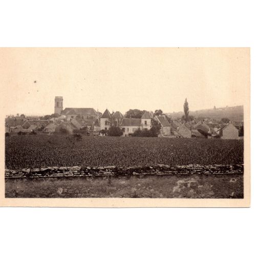 21 - Pommard (Cte D'or) - Vue D'ensemble (Vignes, Vin)