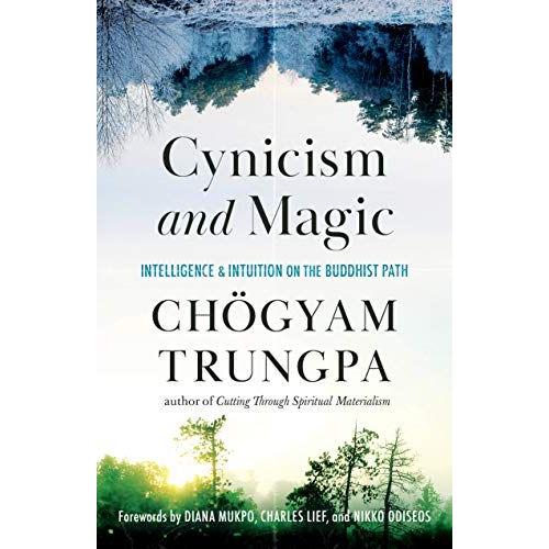 Cynicism And Magic: Intelligence And Intuition On The Buddhist Path