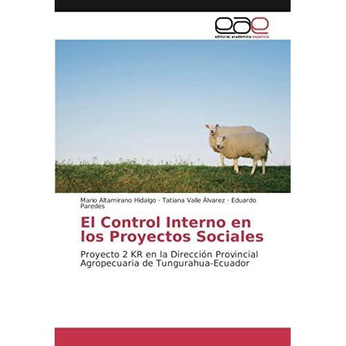 El Control Interno En Los Proyectos Sociales