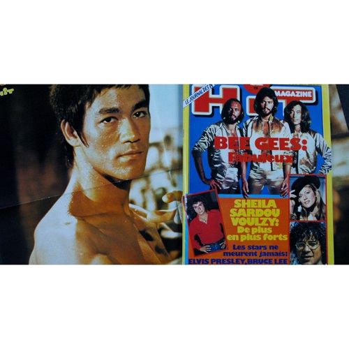 Hit Magazine 79 Bee Gees Sheila Sardou Voulzy Elvis Bruce Lee Bob Dylan Queen 1978 08
