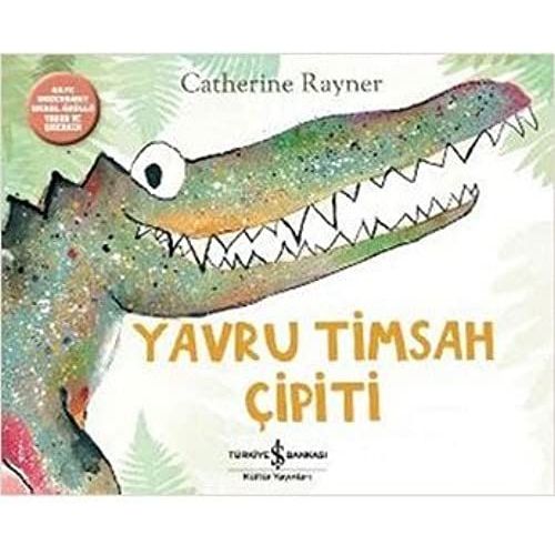 Yavru Timsah Cipiti