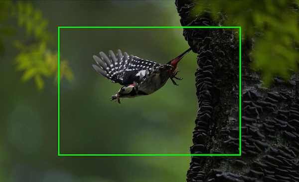 null image 4 | Rakuten