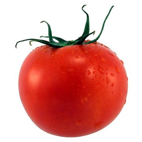 25 Graines De Tomate Saint-Pierre Méthode Bio Seeds Plante Légume Ancien Potager