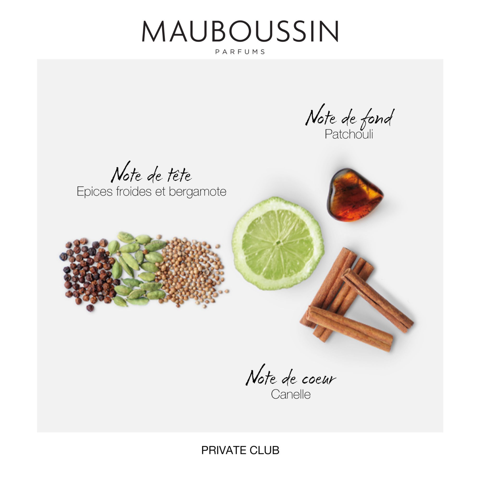 Mauboussin - Private Club - Eau de Parfum Homme - Senteur Bois�e & Orientale - 100ml image 1 | Rakuten