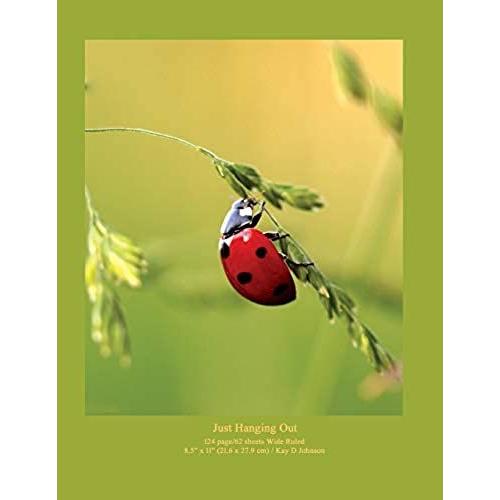 Just Hanging Out: Wide Ruled Journal Notebook With A Happy Ladybug In The Garden. Useful For School Work, Sketching And Journaling