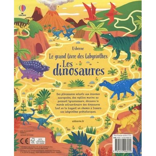 Labyrinthe Pour Enfant 4-9 : Dinosaures: Livre d'Activités