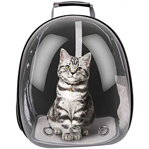 Fancywhoop Sac À Dos De Transport Pour Animaux Chiens Et Chats Transparent Petit Sac À Dos Portable Et Respirant-Black