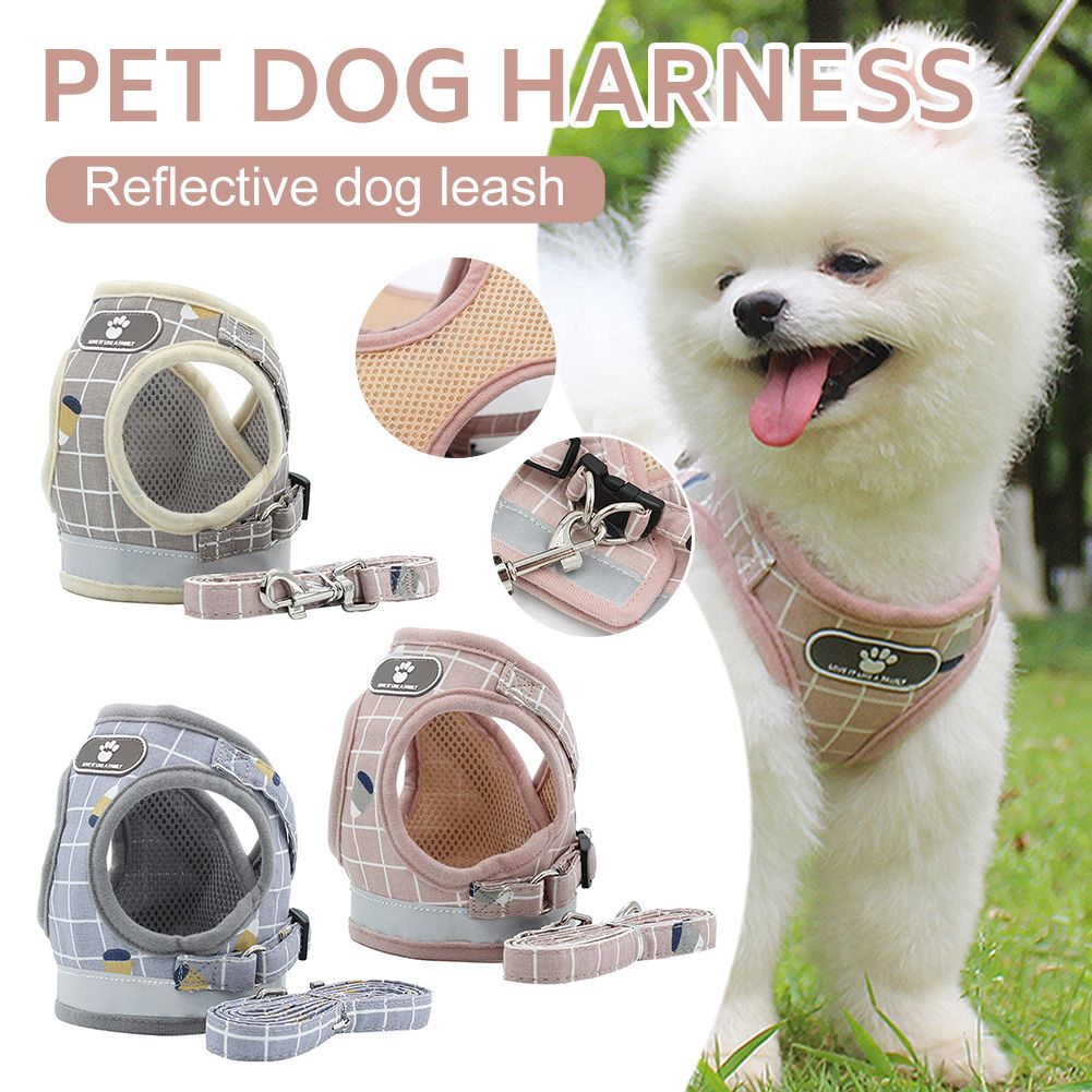 Ensemble Harnais Et Laisse En Nylon Pour Chiot Et Chaton, Réfléchissant, Pour Petit Chien