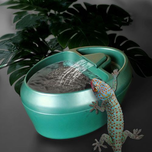 Fontaine À Eau Pour Reptile, Goutteur D'eau Adapté Au Serpent Gecko Lézard-Caméléon Dragon Barbu Bol À Eau