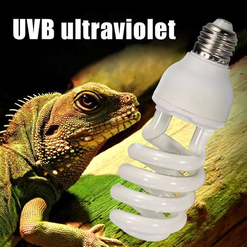Lampe Compacte Fluorescente Pour Reptiles, Ampoule Xqmg, Contrôle De La Température, Terrarium, 5.0/10.0, Uvb, 13/26w, Nouveau