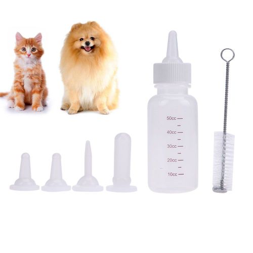 Kit De Succion En Forme D'animaux, Biberon D'alimentation Pour Bébé, Chiot, Chat, Chaton, Lapin Totoro, Outils Pour Eau Et Lait, 6 Pièces/Ensemble