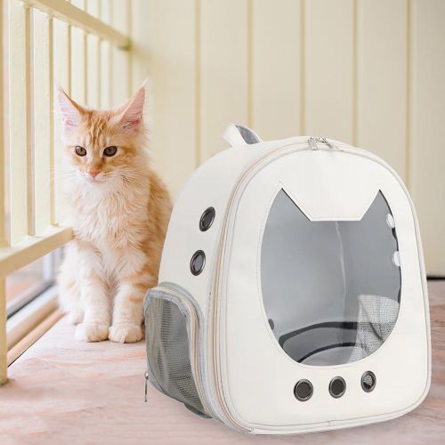 Sac À Dos Portable Pour Voyage, Grand Sac De Transport, Transparent, Respirant, Pour Animal De Compagnie, Chien, Chat, Chiot, Chaton