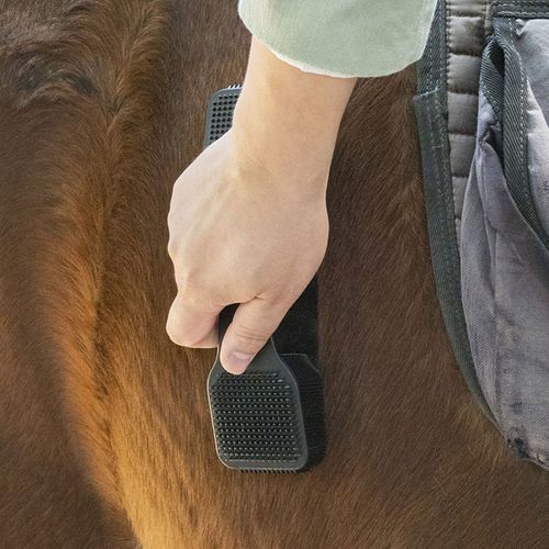 Brosse De Toilettage Pour Cheval, Épilation, Beauté, Massage, Peignes De Massage Pour Perte De Cheval, Kit D'outils, Accessoires