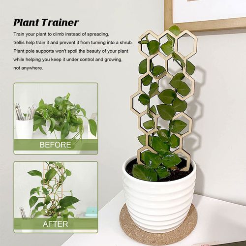 Poteau De Support En Bois, Petit Treillis Pour Fleurs De Jardin, Plantes En Pot, Diy