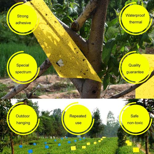 Panneau adhésif Double face jaune pour serre, piège à insectes volants, lutte antiparasitaire sans danger pour l'homme, verger