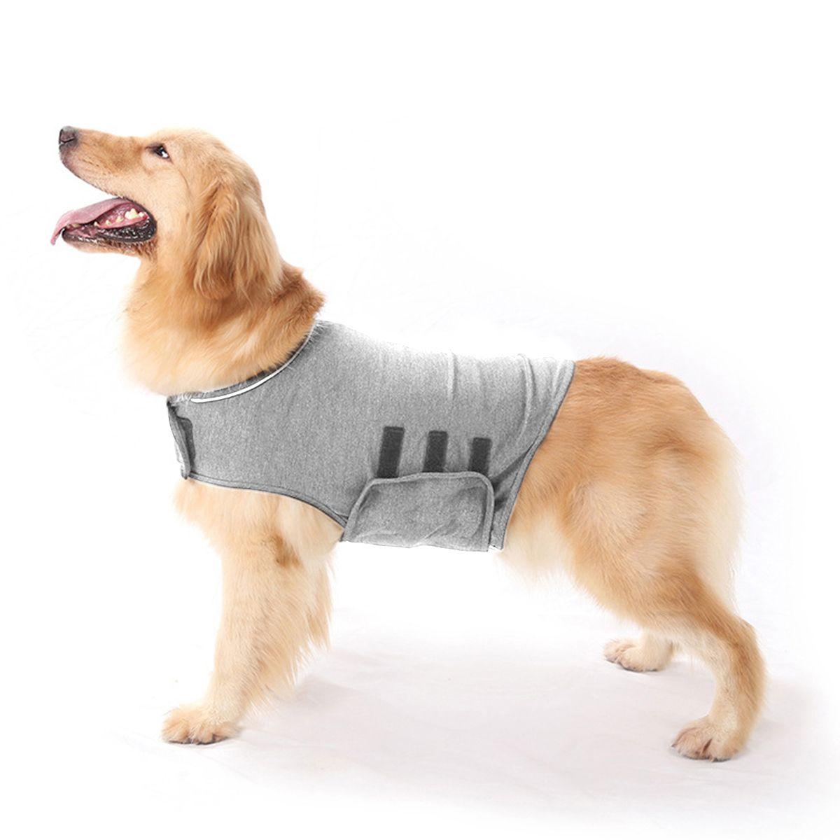 manteau anti orage chien