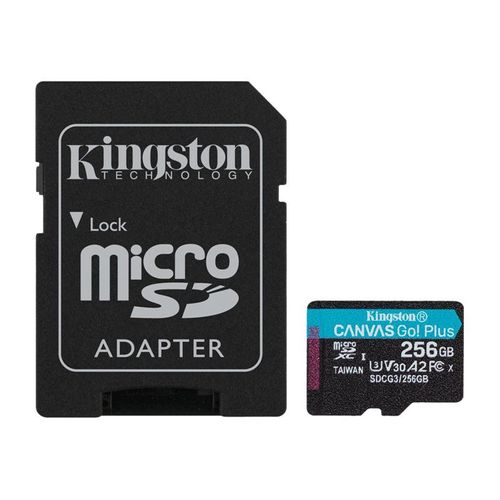 Kingston - Carte mémoire flash (adaptateur microSDXC vers SD inclus(e)) - 256 Go - A2 / Video Class V30 / UHS-I U3 / Class10 - microSDXC UHS-I