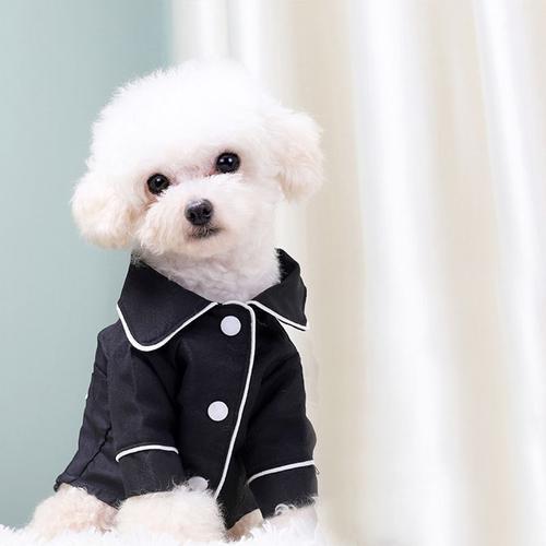 manteau chien luxe