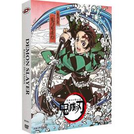 Demon Slayer Mugen Train: O Filme - AnimesDVD