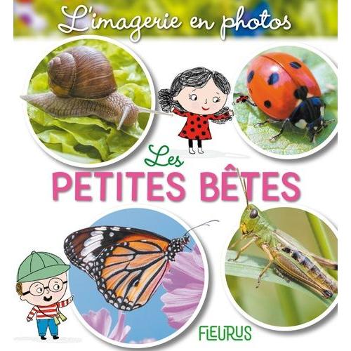 Les Petites Bêtes