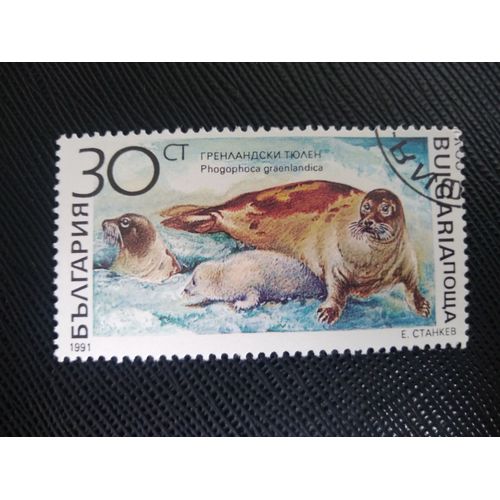 Timbre Bulgarie Y T 3424 Phoque Du Groenland (Pagophilus Groenlandicus) 1991 ( 150808 )