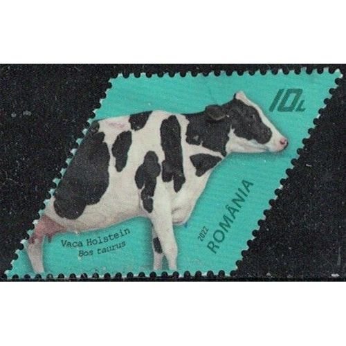 Roumanie 2022 Oblitéré Used Vache Holstein Race Bovine Y&t Ro 6697 Su