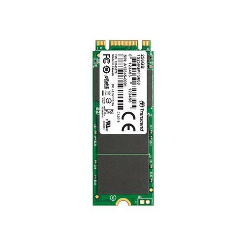 Transcend MTS600 - SSD - 256 Go - interne - M.2 2260 - SATA 6Gb/s