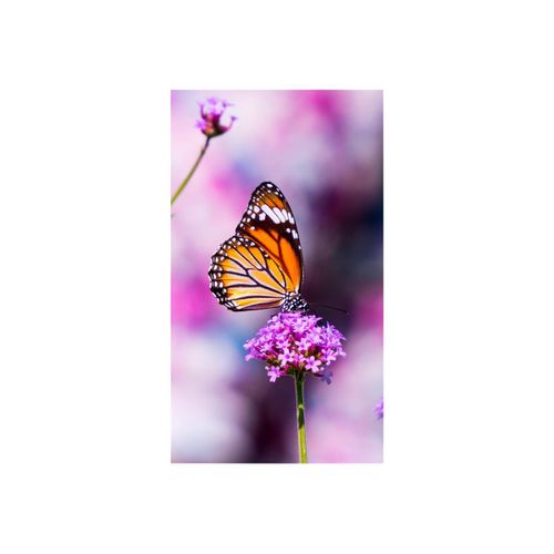 NEC MultiSync UN552VS - Classe de diagonale 55" écran LCD rétro-éclairé par LED - signalétique numérique interactive - 1080p 1920 x 1080 - LED à éclairage direct - noir