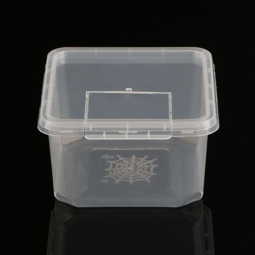 Mangeoire De Terrarium Pour Reptilemangeoire De Terrarium Pour Reptiles