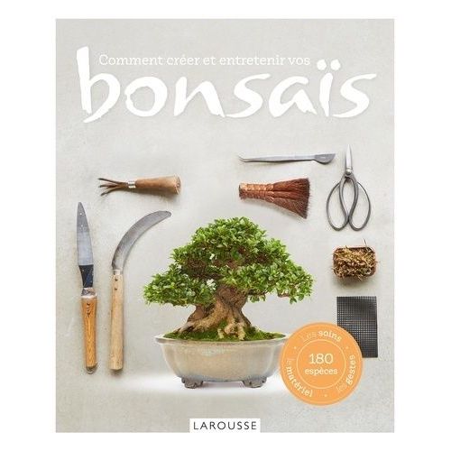 Comment Créer Et Entretenir Vos Bonsaïs