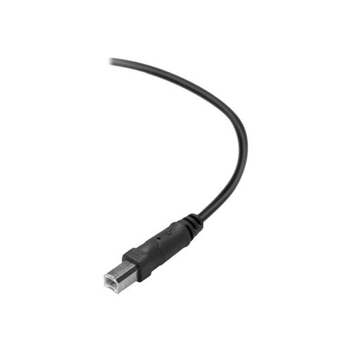 Belkin Premium Printer Cable - Câble USB - USB type B (M) pour USB (M) - USB 2.0 - 3 m - moulé