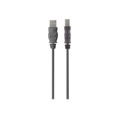 Belkin Premium Printer Cable - Câble USB - USB type B (M) pour USB (M) - USB 2.0 - 4.8 m - moulé