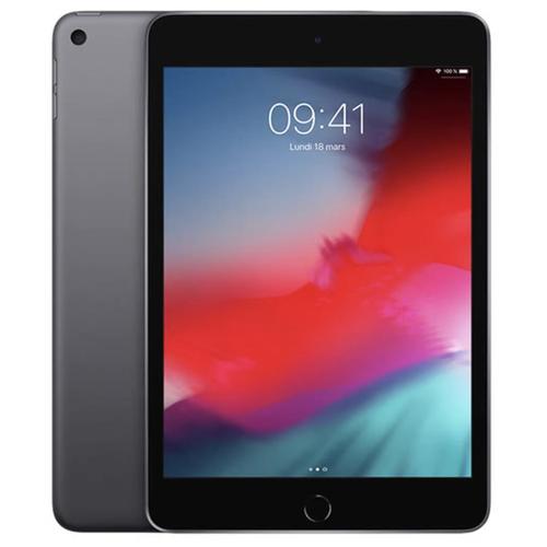 Tablette Apple iPad mini 5 (2019) Wi-Fi + Cellular 64 Go 7.9 pouces Gris