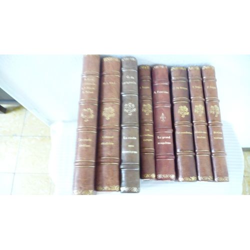 Lot De 8 Livres Reliés, Dos À 4 Nerfs