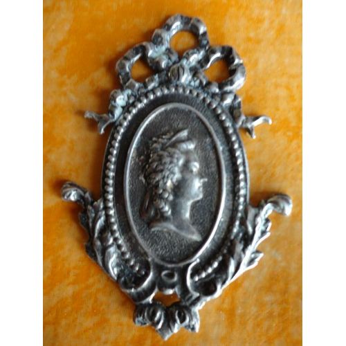 Médaillons De Marie Antoinette Et Lous Xvi