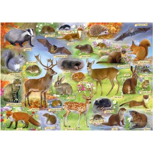 Faune Britannique - Puzzle 500 Pièces