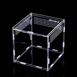 Boîte D'alimentation Pour Reptiles, Terrarium En Acrylique Portable, Abri D'insecte Clair Pour Mini Lézard Cendré, 4 Tailles F21 22
