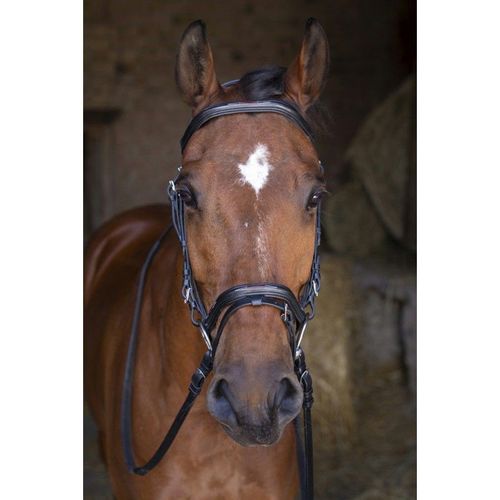 Bridon Eric Thomas Hybrid "Forme" - Couleur : Noir, Taille : Pur-Sang