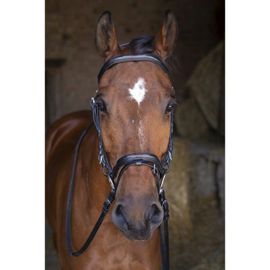Bridon Eric Thomas Hybrid "Forme" - Couleur : Noir, Taille : Pur-Sang