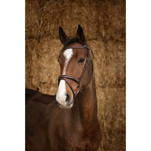 Bridon Norton Pro "Perle" - Couleur : Noir, Taille : Cheval