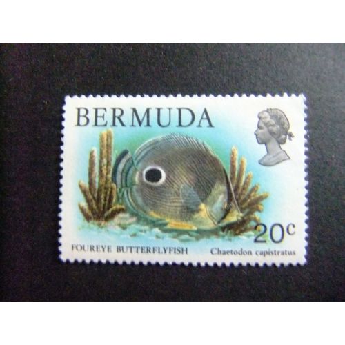 50 Bermuda Bermudes 1978 / Faune Des Bermudes / Yvert 361 Mnh