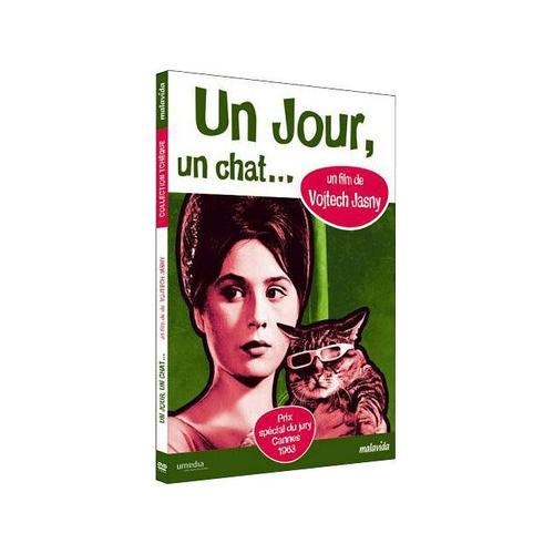 Un Jour, Un Chat