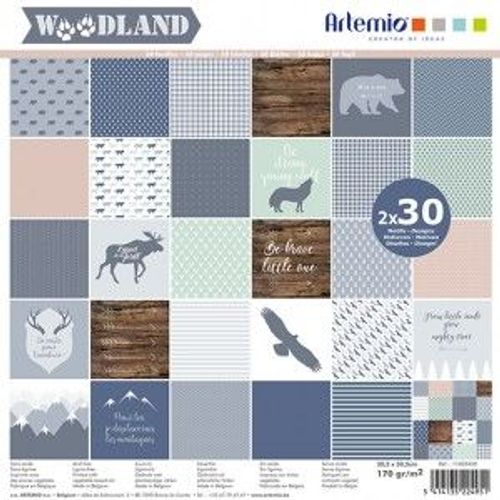 Bloc 30x2 Feuilles Woodland 30x30 Cm