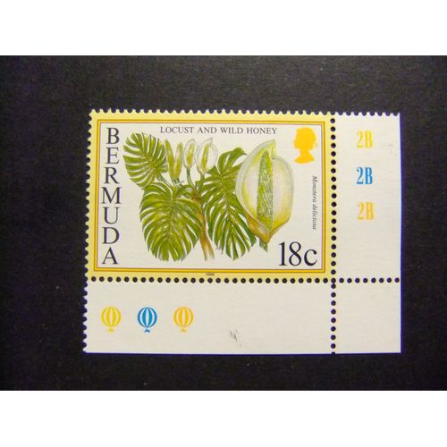 50 Bermudes 1996 / Flora Fruits / Yvert 724 Mnh